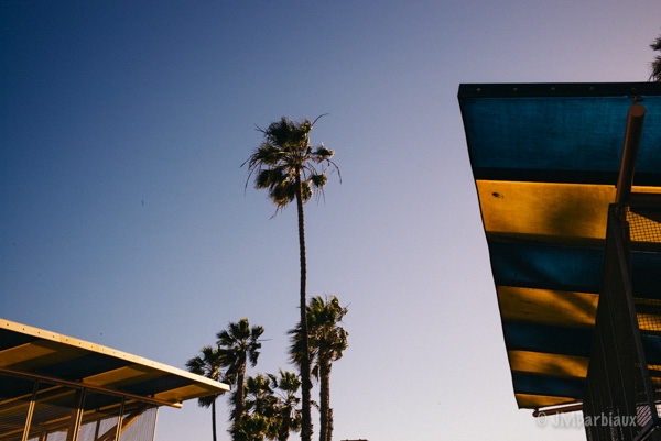 Venice Beach, Santa Monica, Street Photography, Fine art, color