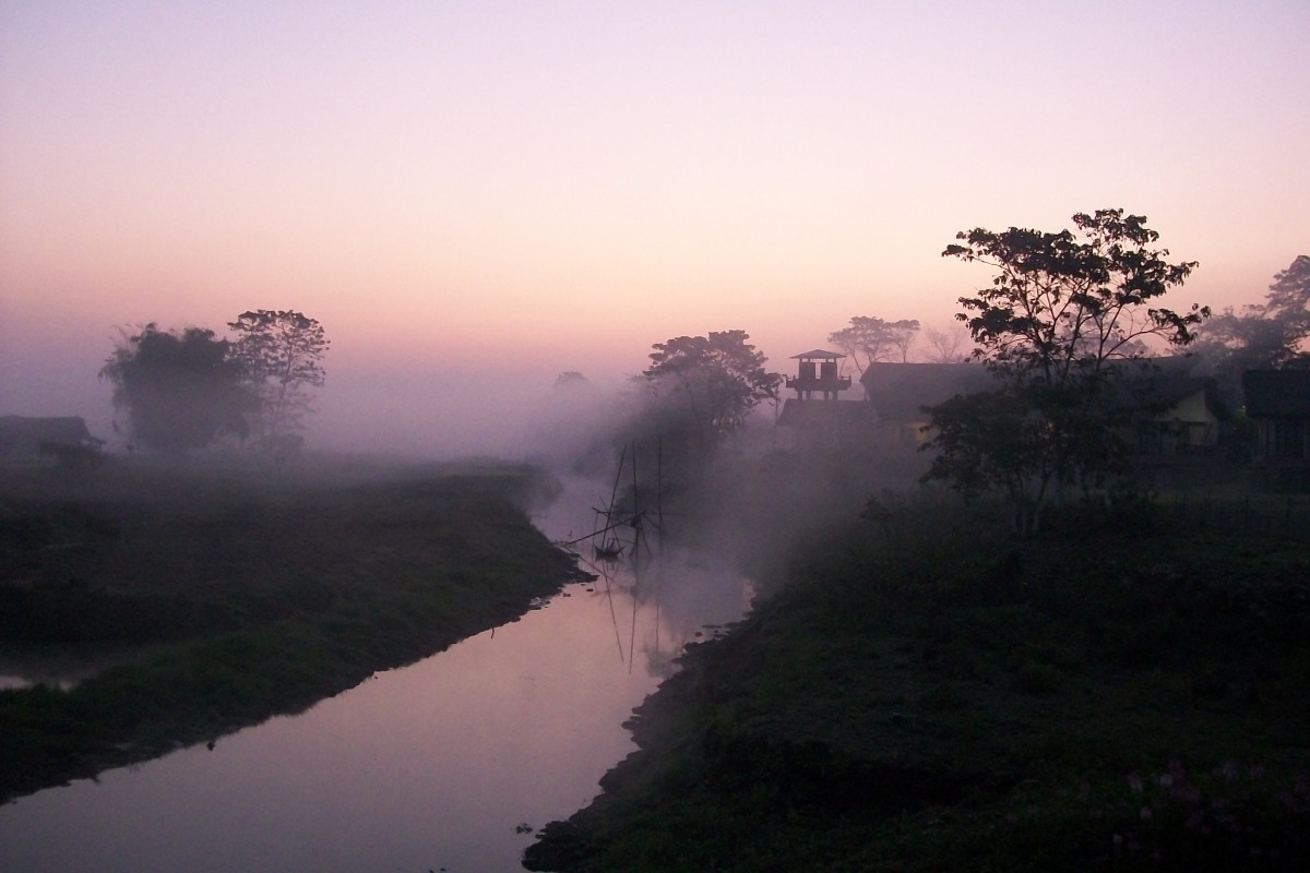A winter morning in the Kaziranga National Park
