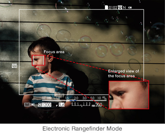 Electronic Rangefinder Mode