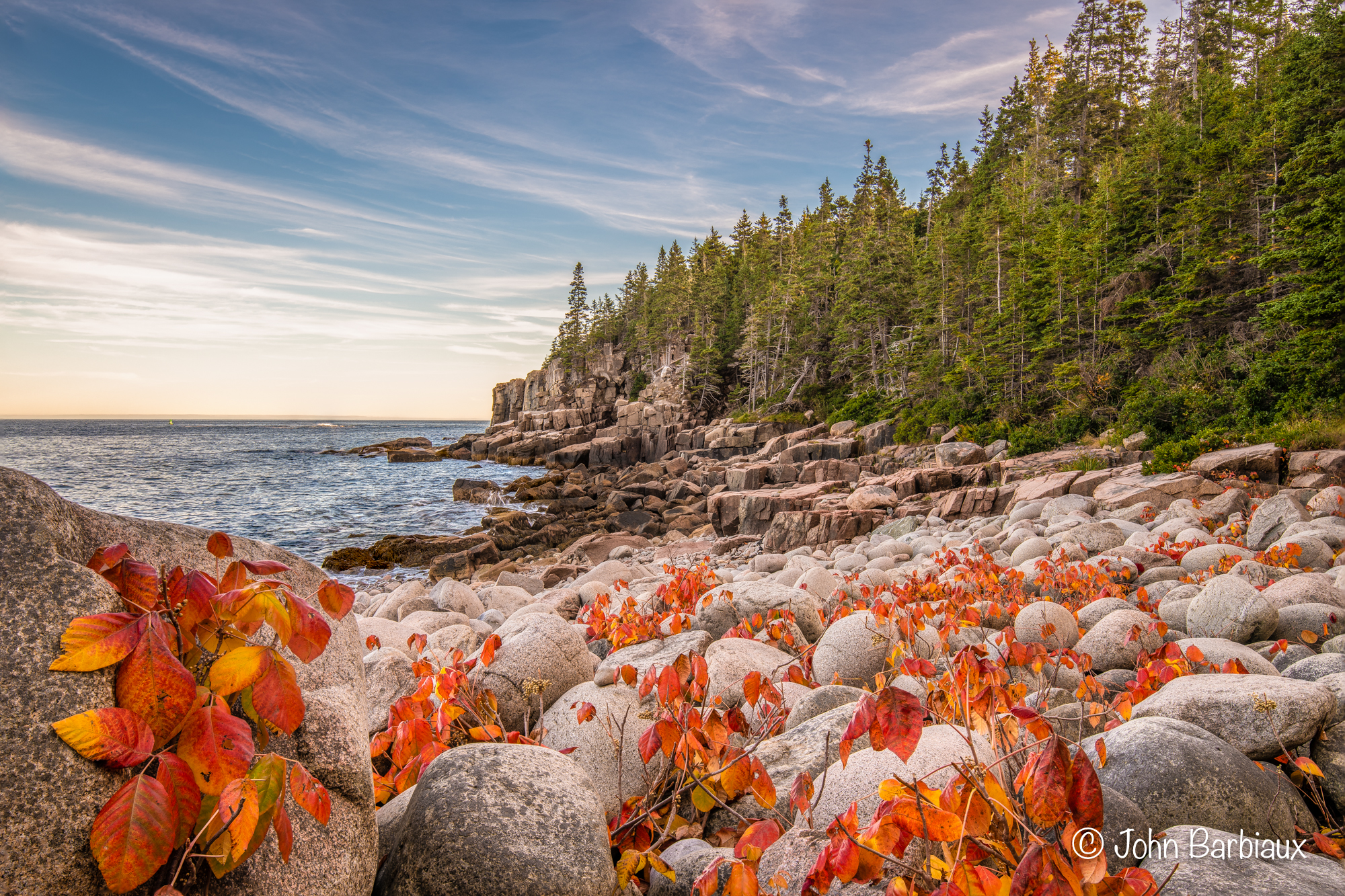 Acadia National Park, fine art photography, landscape photography, autumn, fall, foliage, ground cover, professional photography