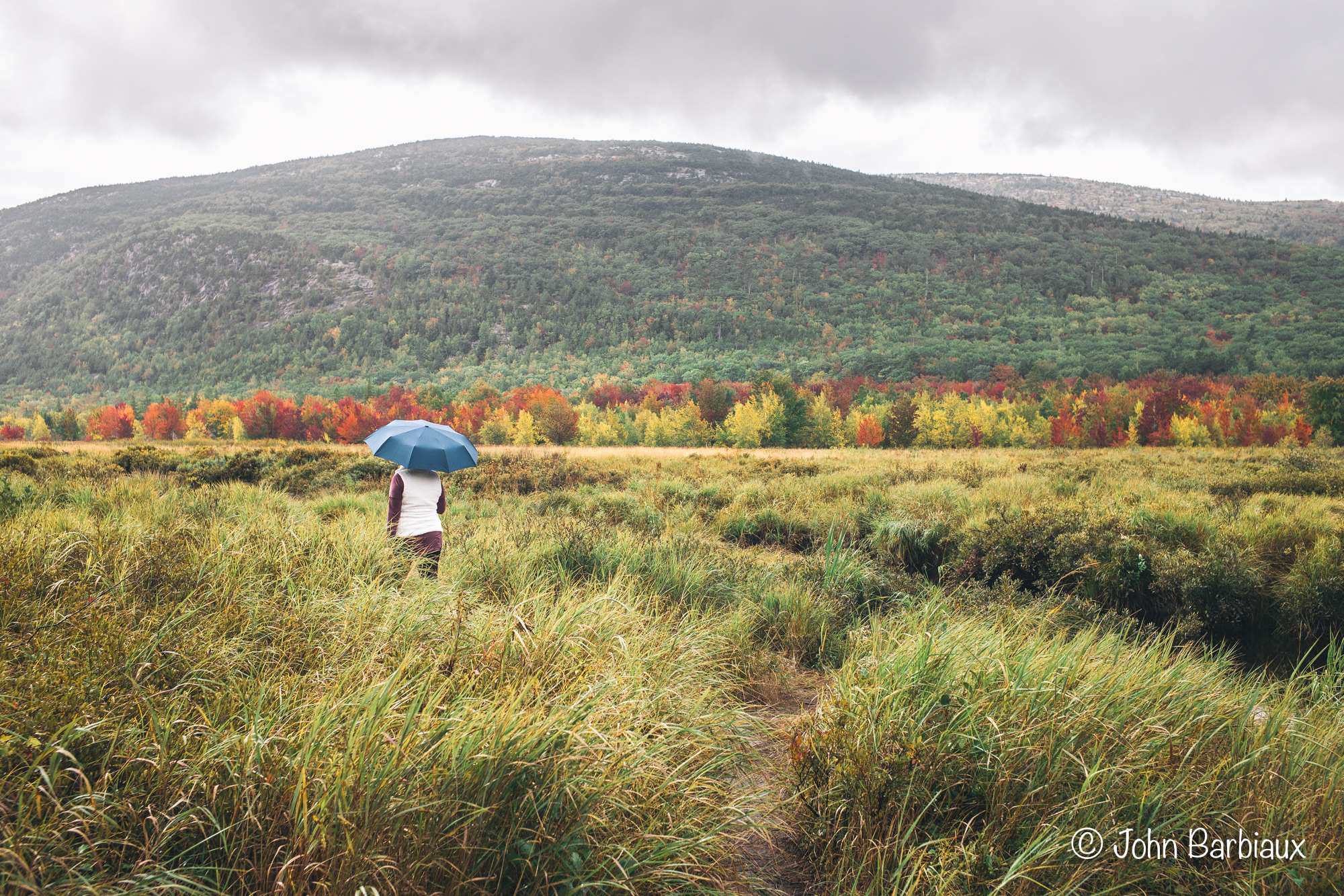 Acadia National Park, Rainy weather, photography, Leica, Leica M10-P, street photography, national park photography, fall, foliage, autumn, Maine