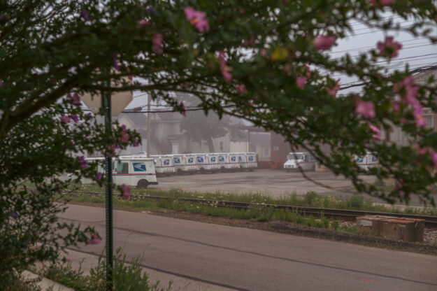 An image depicting a small town scene with post office trucks parked and framed by a flowering tree on a foggy morning.